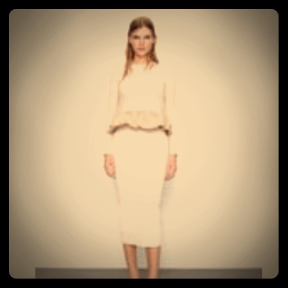 Zara long sleeve blouse